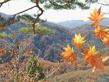 澳门彩票的未来展望，实证解答、解释与落实策略（标题）
