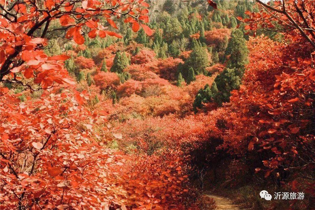 凤凰山社区最新交通新闻，优化交通环境，提升居民出行体验