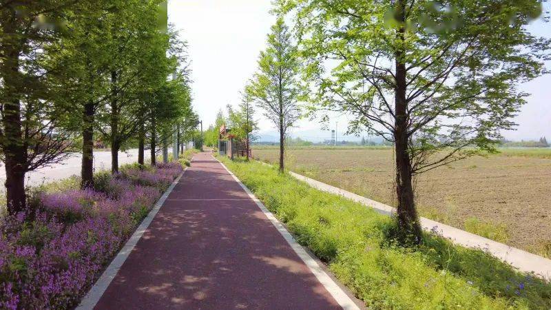 武侯区文化局最新发展规划展望