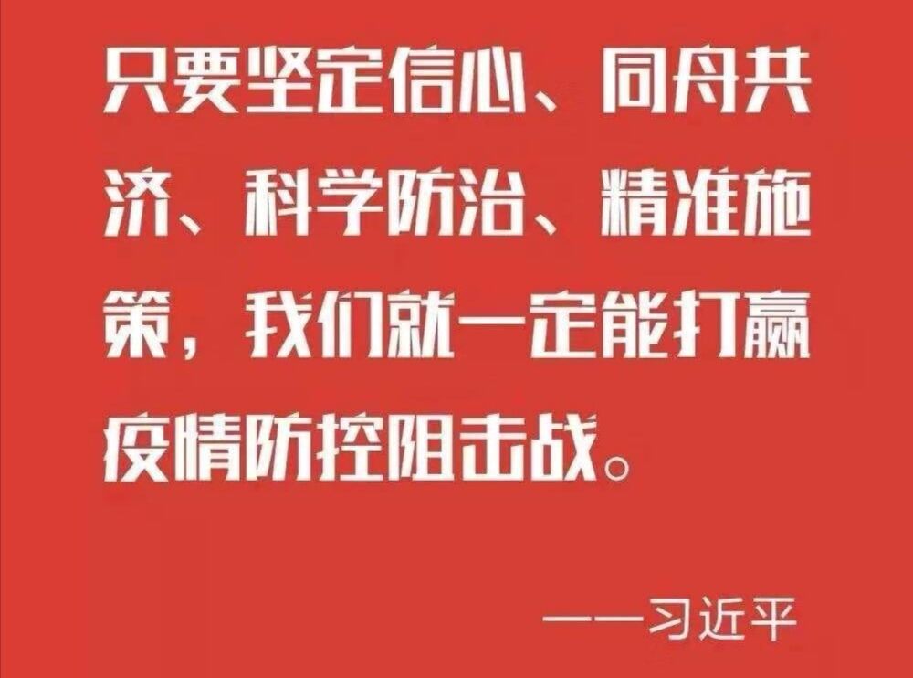 澳门王中王100%期期中一期，全面解析与贯彻落实的重要性