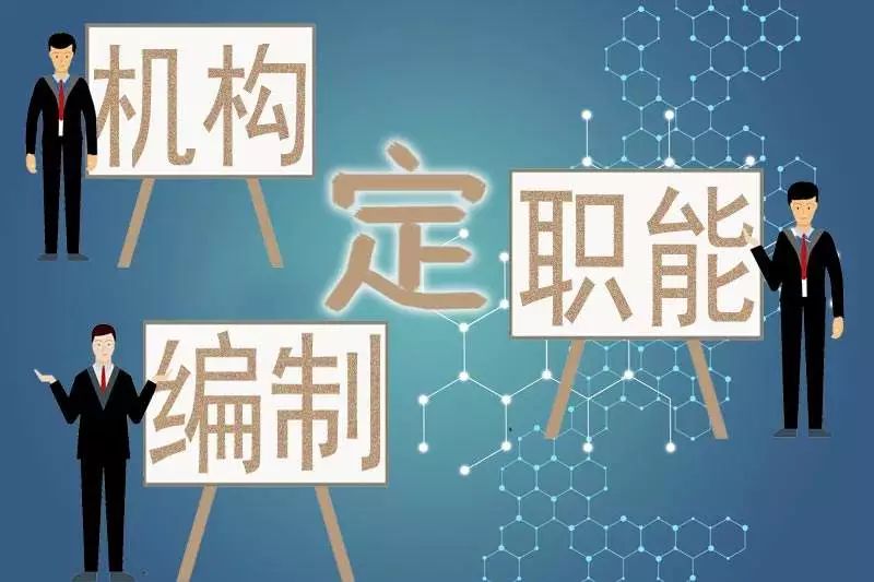 全面贯彻落实新门最准最快资料，迈向未来的关键策略