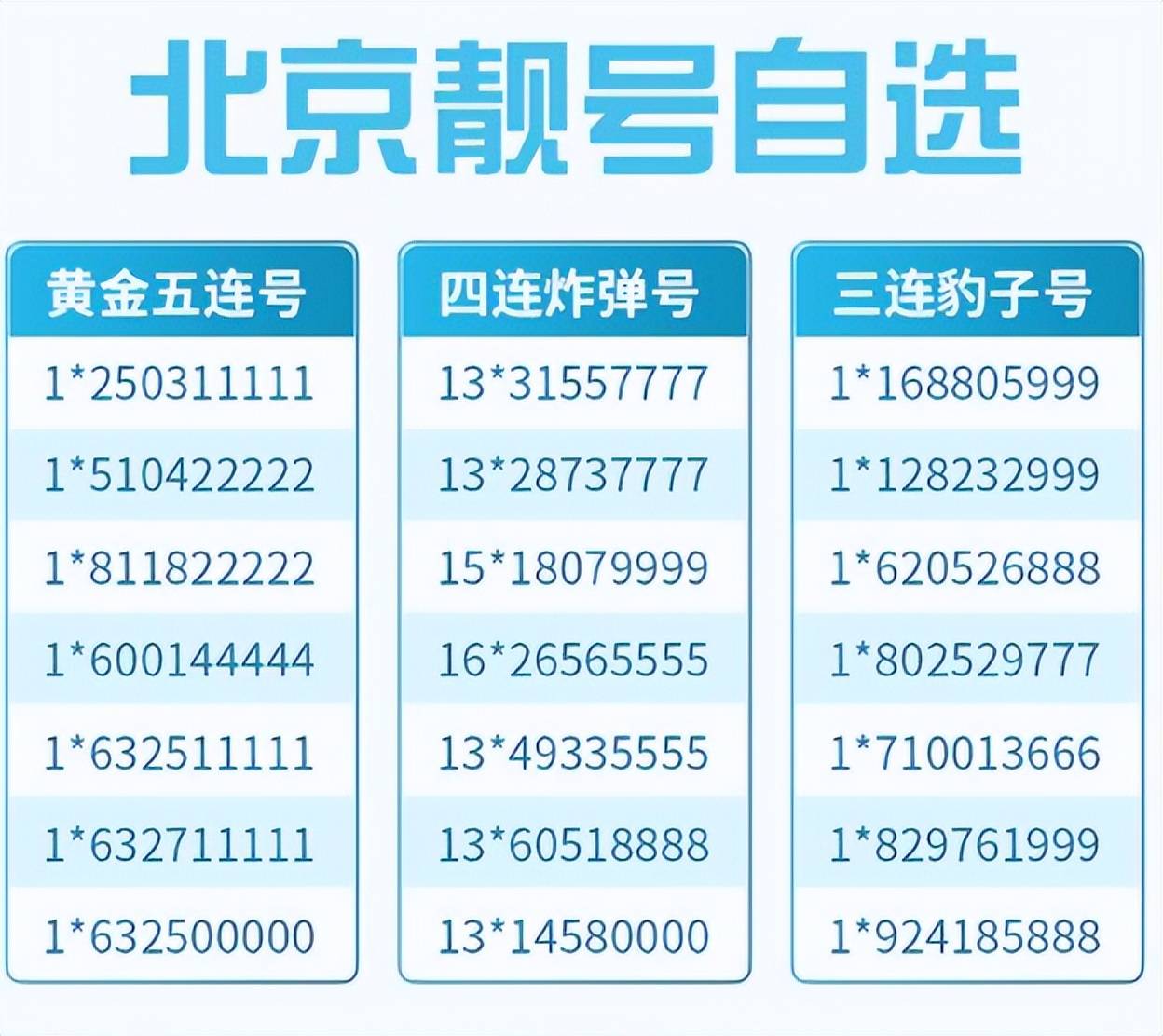 探索精准狗狗的世界，对数字组合77777与88888的精选解析与解释