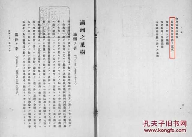 探索濠江论坛，词语释义与落实的重要性