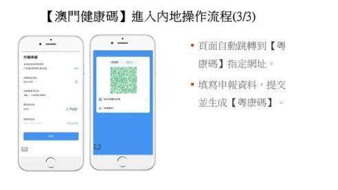 探索澳门码，从理解到实践的过程