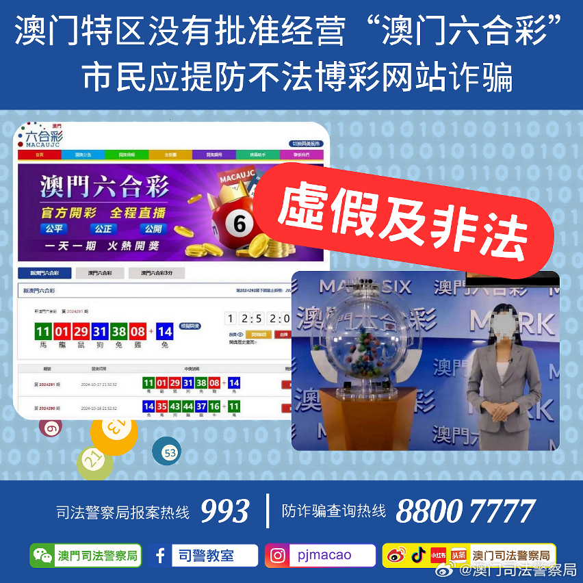 澳门正版内部免费资料，解析与精选解释