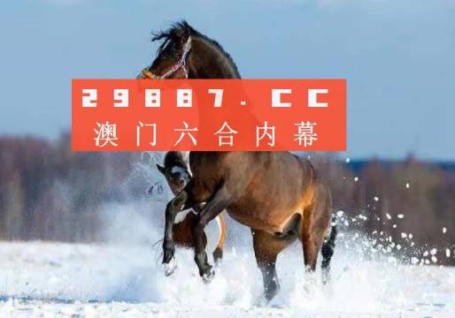 奥门一肖一码一中一特精选解析解释落实