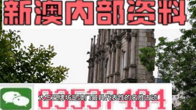 新澳门内部精准公开，精选解析、深入解释与切实落实