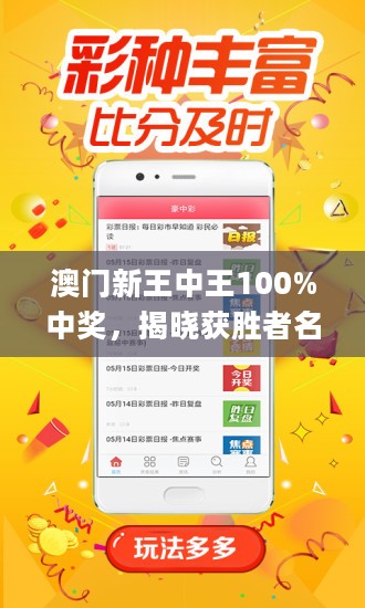 新澳门王中王期期解析与全面贯彻解释落实策略