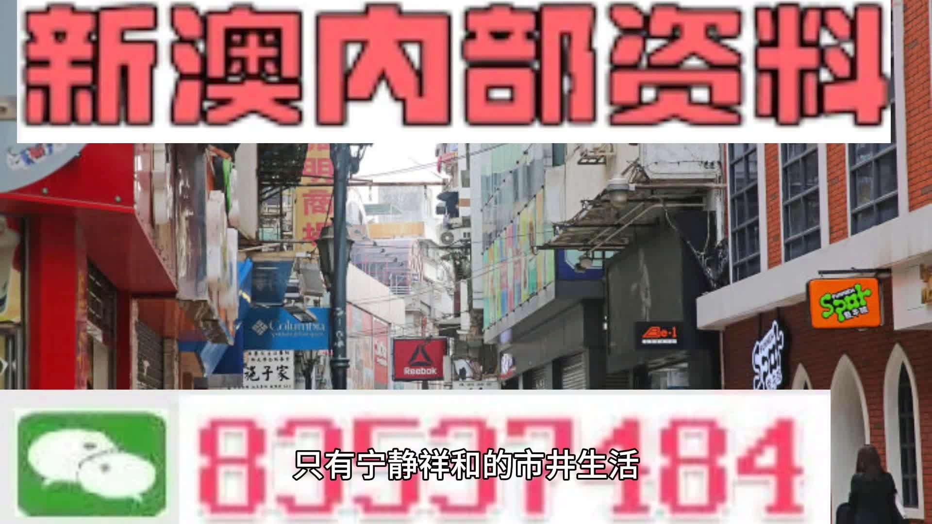 新澳门精准四肖期期中特公开与实用释义解释落实