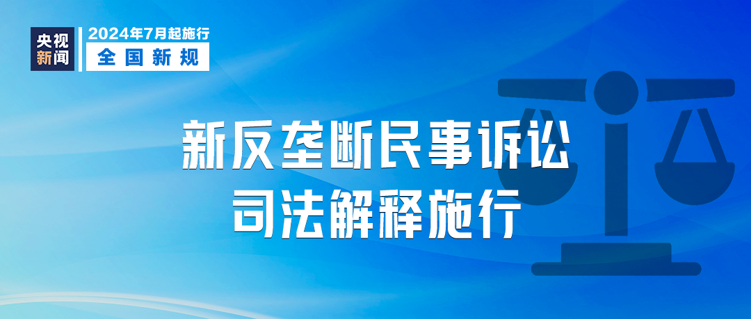澳门正版精准免费大全，精选解析、细致解释与有效落实