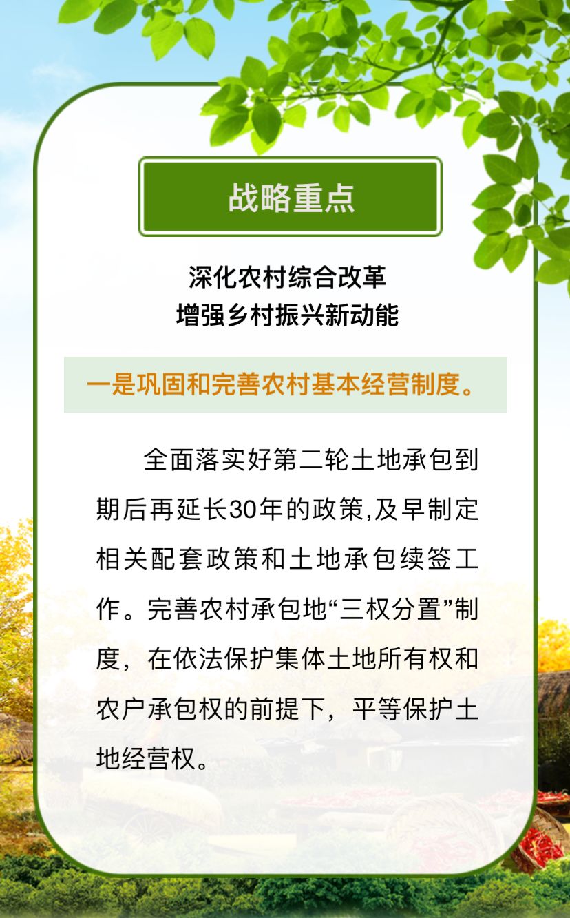 全面解读与落实，2025新澳门全年免费政策