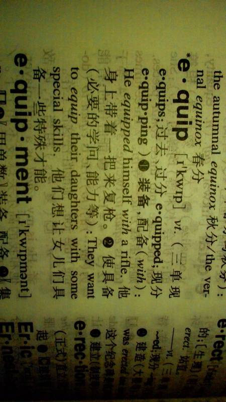 澳门王中王与最新章节的探索，100%正确答案的释义与落实