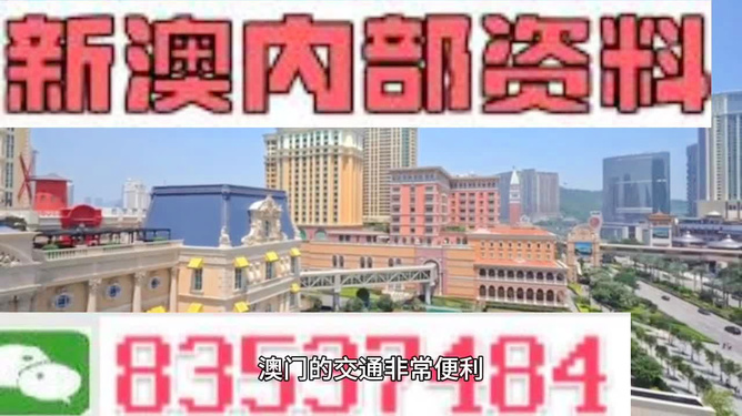 新澳门最精准正最精准龙门2024，精选解析与落实策略