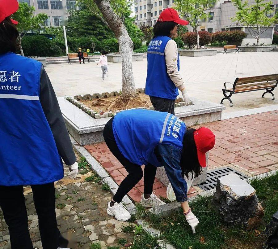 澳门最精准正最精准龙门免费——全面解析与落实