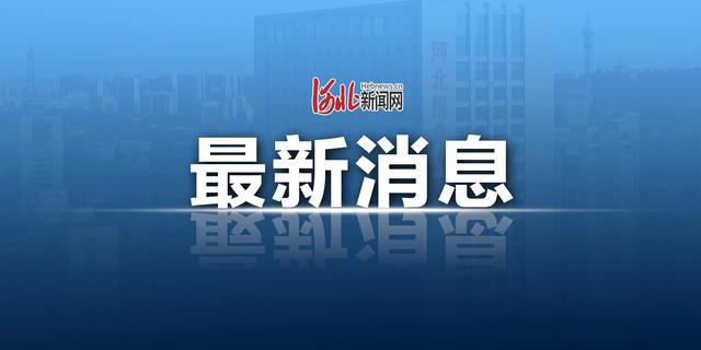 新澳门精准免费提供，全面贯彻解释落实的重要性与策略