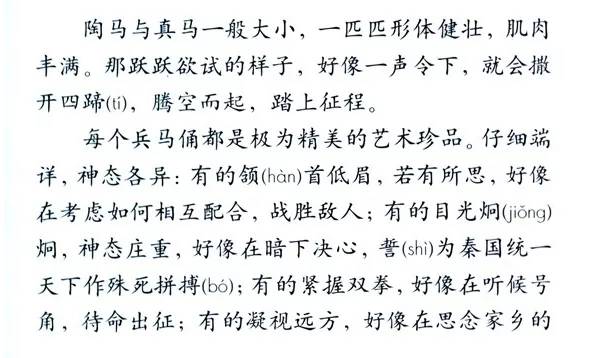 关于澳门彩票特马今晚号码的解读与全面释义解释落实的文章