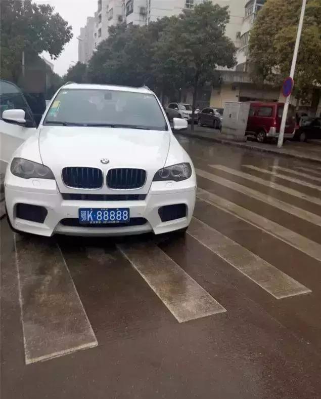 探索精准狗狗世界，解读77777与88888的魅力