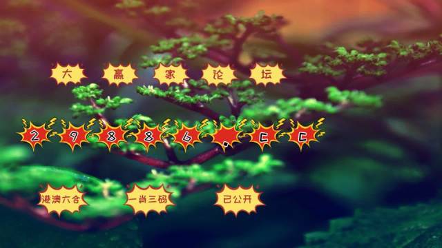解析新版跑狗图之77777与88888，深度解读与词语释义的落实