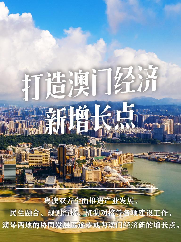 解读澳门未来蓝图，探索精准发展之路与全面释义落实策略