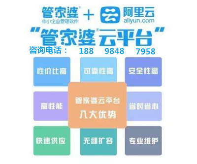 管家婆100期期中管家，全面解读与落实管理职责的关键词汇