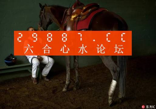 一肖一码一中一特，精选解析、解释与落实