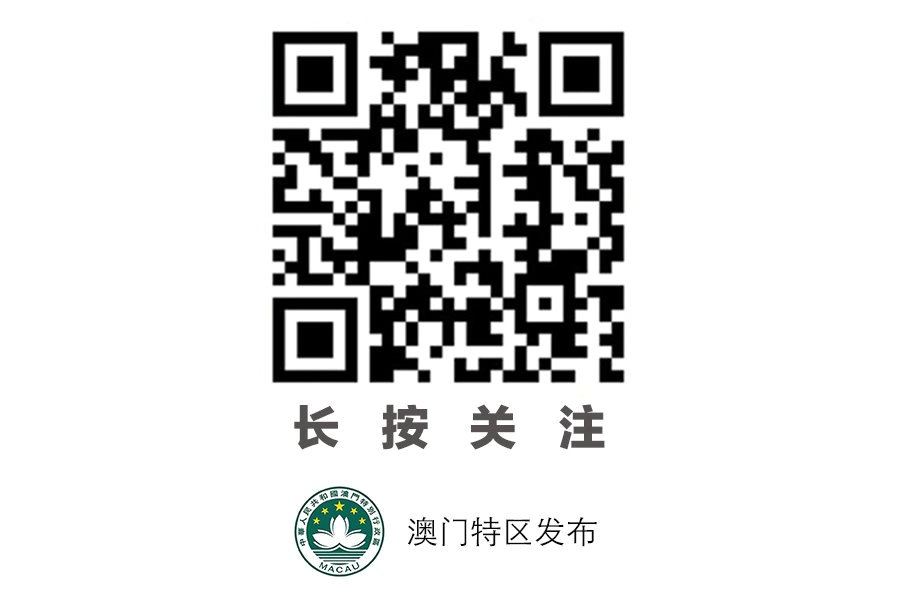 探索澳门码，解析新澳精准正版澳门码的未来趋势与实际应用