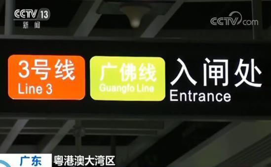 探索未来，港澳资料免费大全与词语释义的落实