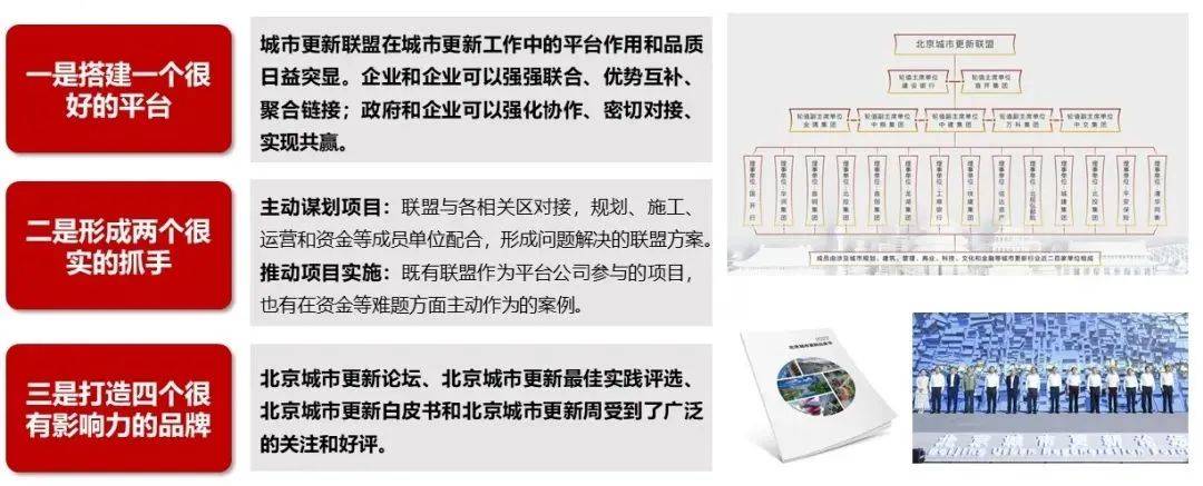 一肖一码一特一中，深度解读与落实策略