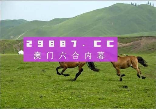 新澳门天天彩期期精准龙门客栈，精选解析、深入解释与落实行动