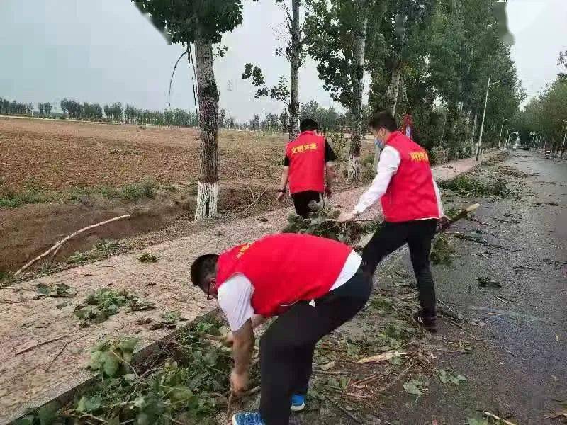 迈向2025年天天开好彩，全面实现与落实的愿景