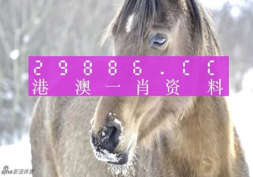 澳门一肖一特100精准免费，全面释义、解释与防范