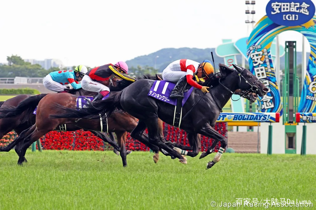 聂雨霏 第203页
