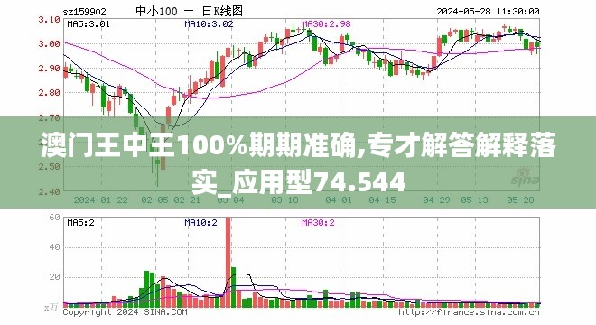 新澳门王中王期期解析与实用释义的落实策略