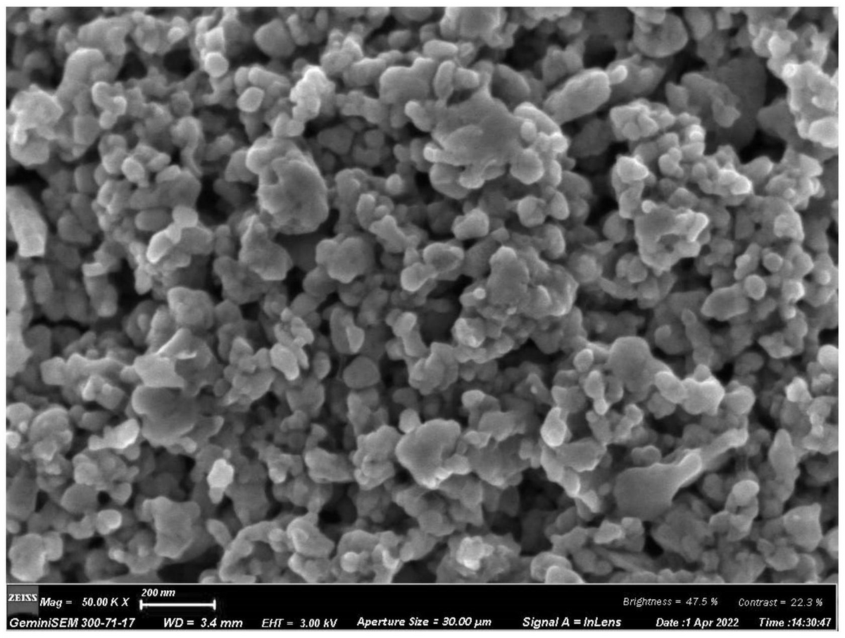 新澳2025天天正版资料大全与落实释义的深度解读