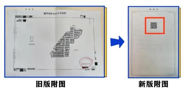 一肖一码一必中一肖，全面释义与落实策略