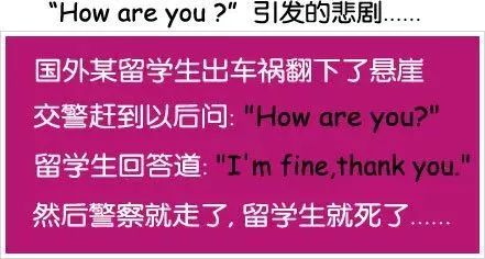 澳门天天开好彩大全解析与贯彻策略，迈向成功的指引（第53期深度解读）