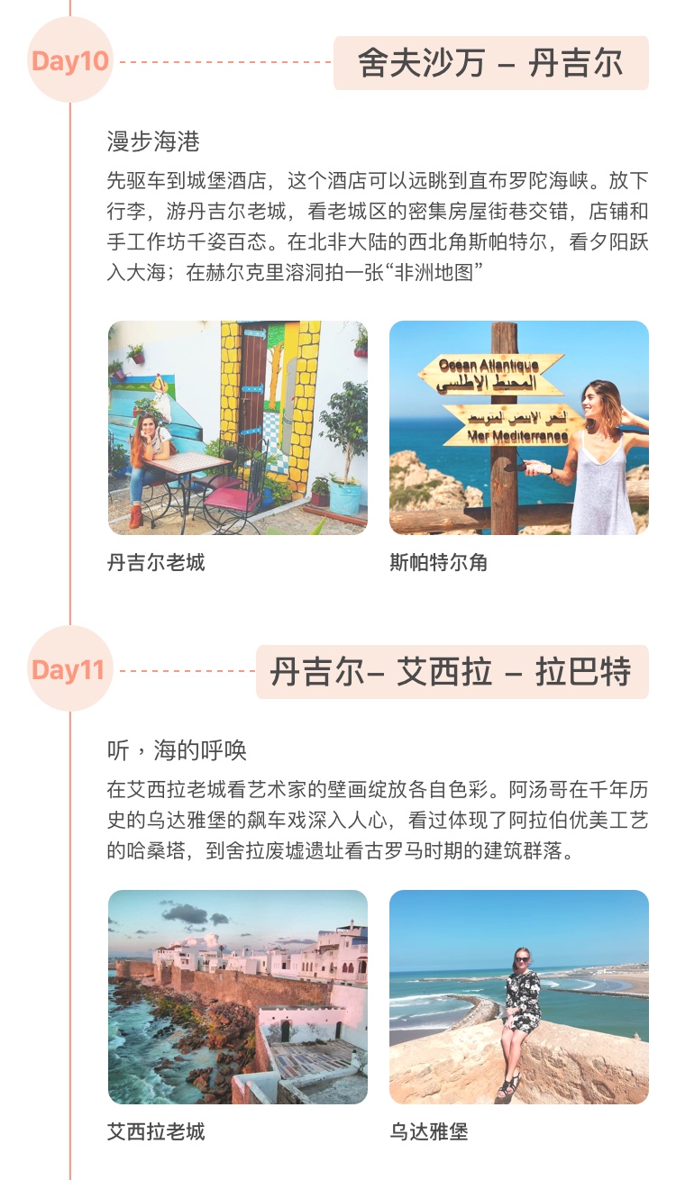 澳门特马今晚开奖的背景故事与解析，深入探索与落实