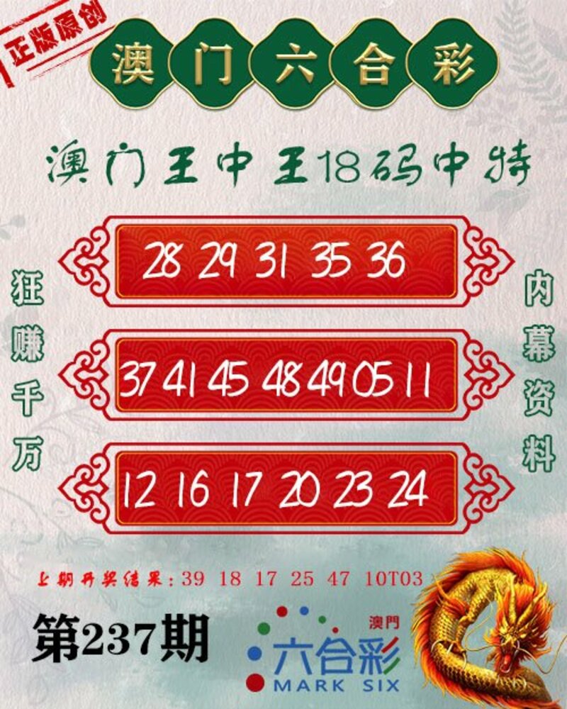 澳门王中王游戏解析与探索，期期中的奥秘与精选策略（2024版）
