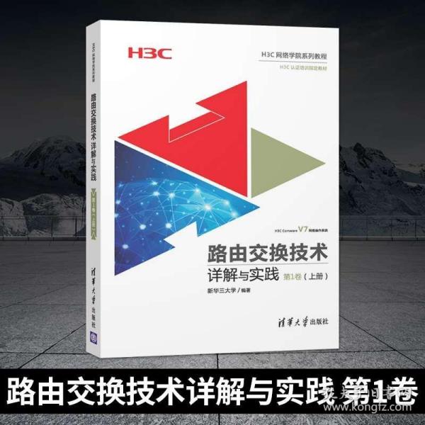 澳门精准正版免费大全，精选解析、解释与落实