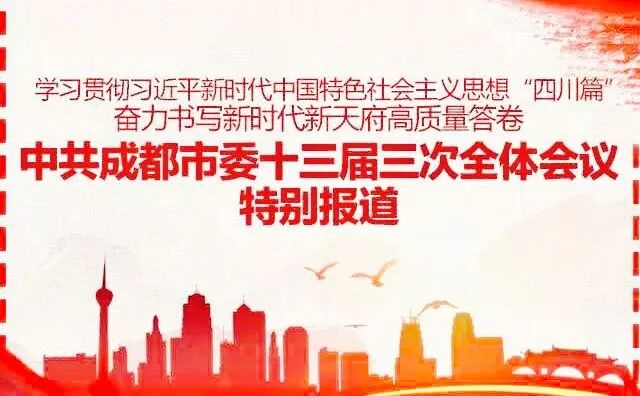 澳门天天免费精准大全，全面贯彻解释落实的重要性