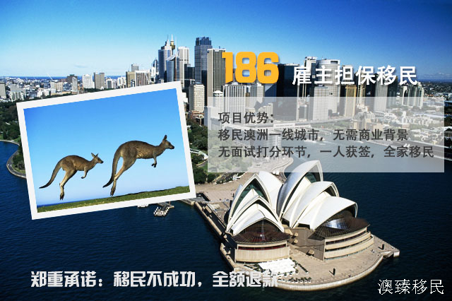 关于新澳精准免费大全的全面贯彻解释与落实策略