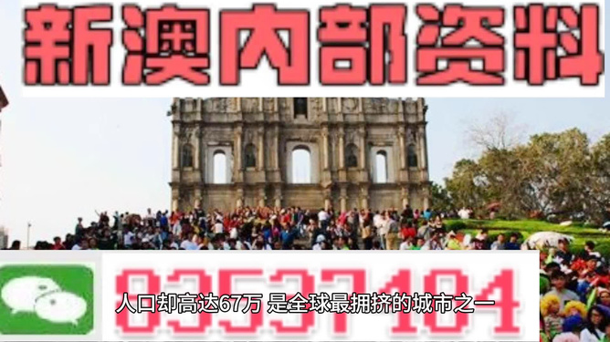 新澳门资料大全正版资料与奥利奥，词语释义与落实的探讨