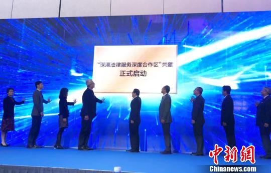 新澳门平特一肖中特，深度解析与落实策略