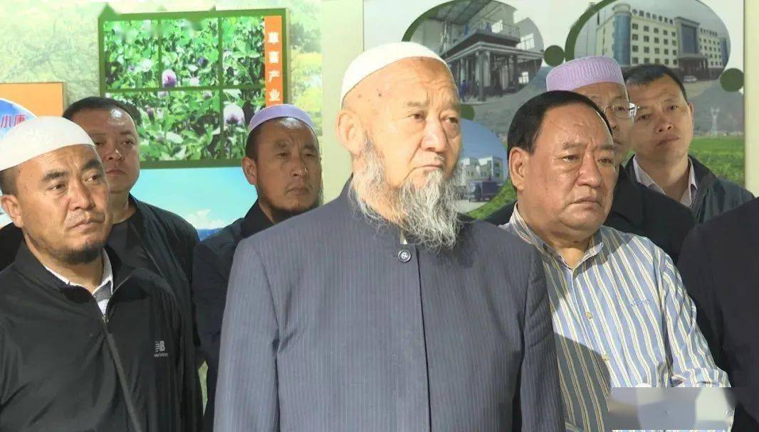 澳门一码一肖一待一，全面解释与贯彻落实
