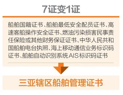 一肖一码一必中一肖，全面释义与落实策略