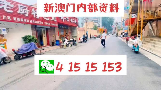 澳门天天开好彩大全开奖结果，全面贯彻解释与落实