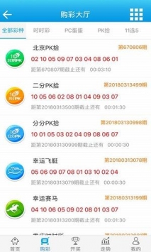 解析澳门王中王彩票游戏，期期中的奥秘与精选策略解析