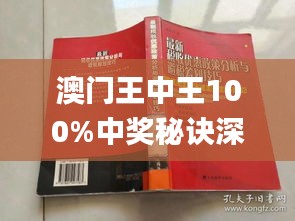 新澳门王中王期期解析与全面贯彻解释落实策略