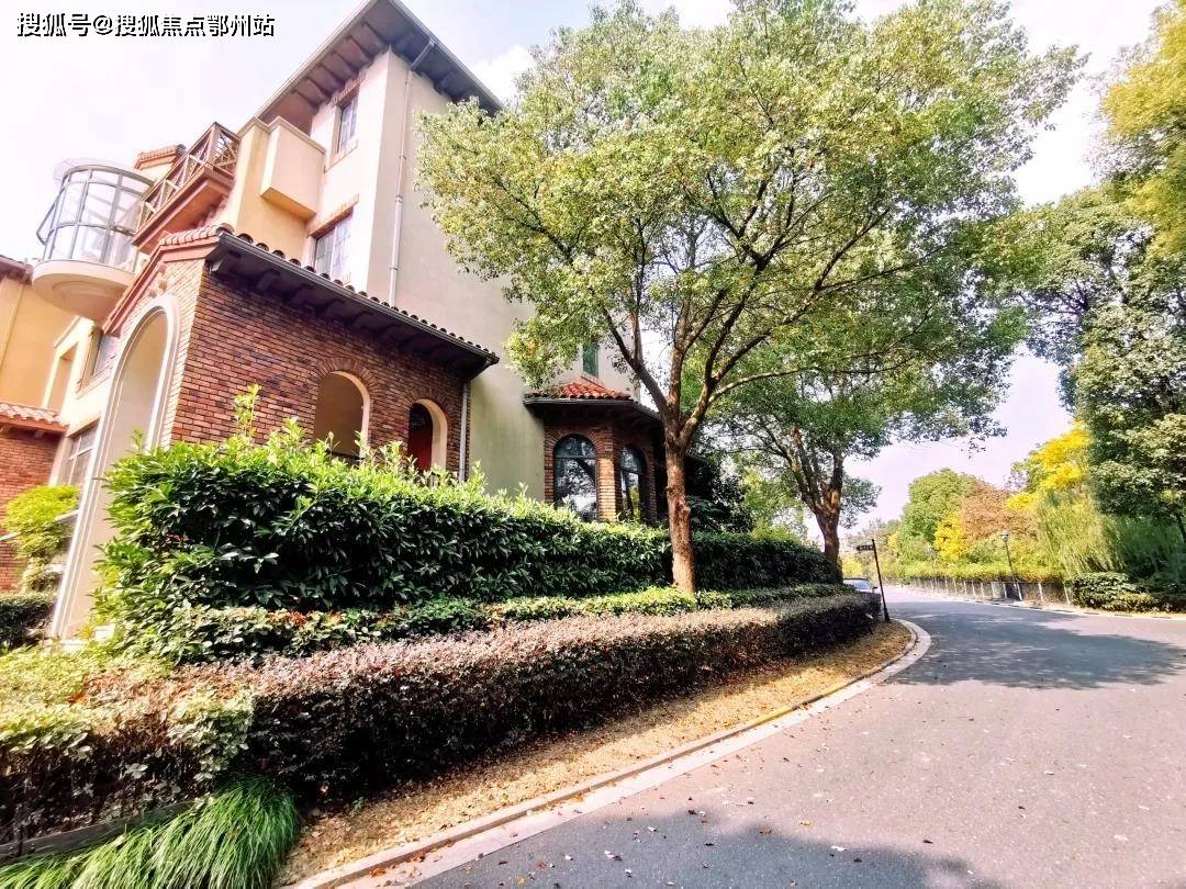 澳门新开奖结果及未来展望，全面解析与贯彻实施策略（以澳门新开奖结果2025为例）