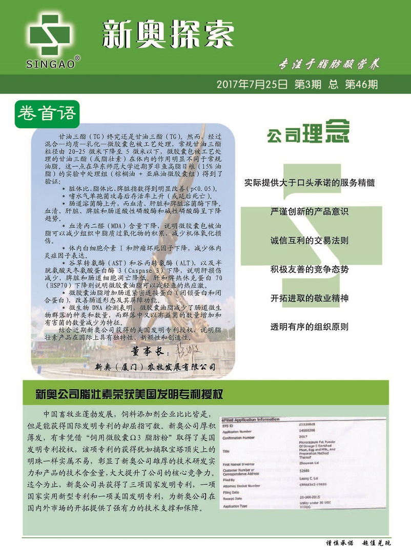 新奥最精准免费大全最新，全面释义、解释与落实